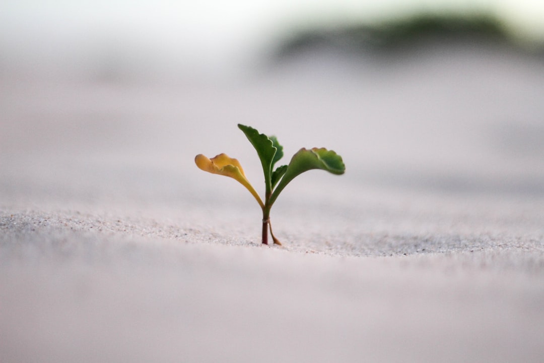 Data Science Learning Path